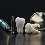 Telegram profile photo for أسئلة MCQ رابعه اسنان دفعه (45)
