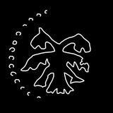Telegram profile photo for Деколонизация