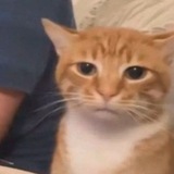 Telegram profile photo for "𝗶𝘃𝗼𝗿𝗶𝗮