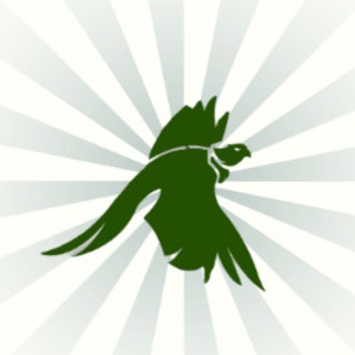 Telegram profile photo for Мы вместе pro песни"🎶🎙 💿💽🔈🎵