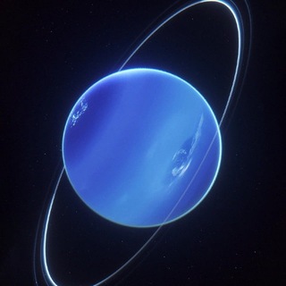 Telegram profile photo for Universal Support