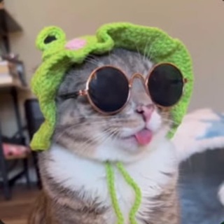 Telegram profile photo for Риксоныч 🍸