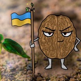 Telegram profile photo for МІЦНІ ГОРІШКИ УКРАІНИ