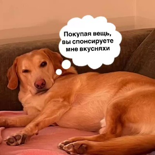 Telegram profile photo for Вторая жизнь вещам