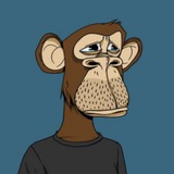 Telegram profile photo for AVN TEAM | NotCoin