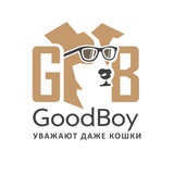 Telegram profile photo for GoodBoy