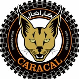 Telegram profile photo for CARACAL