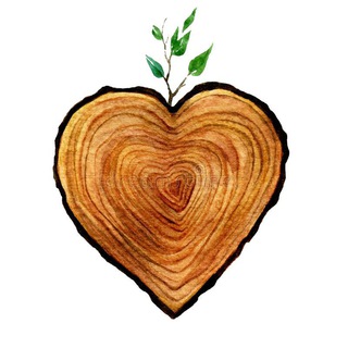 Telegram profile photo for سازه چوبى