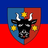 Telegram profile photo for Буковинская Русь
