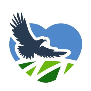 Telegram profile photo for МОЗЫРЬ NEWS