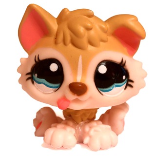 Telegram profile photo for Cocickadct (paket)