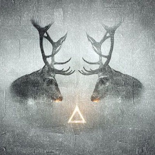 Telegram profile photo for Другая логика