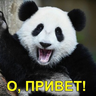 Telegram profile photo for Напоминашка