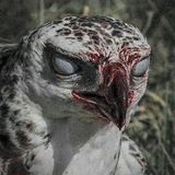 Telegram profile photo for CHEKER