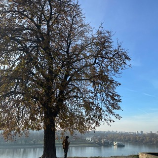 Telegram profile photo for Книги, Белград, Врачар