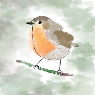 Telegram profile photo for Лес и Птицы