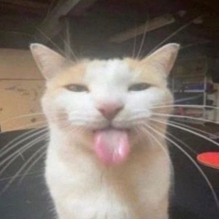 Telegram profile photo for нига204vip !ГГ