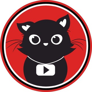 Telegram profile photo for PAJAMAS-THE FIRST YOUTUBE CAT😺