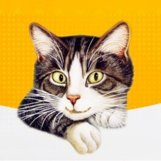 Telegram profile photo for Усатый Юмор