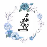 Telegram profile photo for تحليلات ( 4 ) كلية السلام