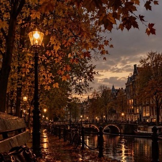 Telegram profile photo for 🍁آخریـنـ خیـابـانـ مـارسیـ