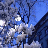 Telegram profile photo for авы для стима | тг