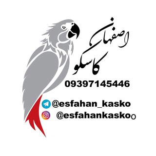 Telegram profile photo for ⚜️اصفهان كاسكو⚜️