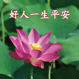 Telegram profile photo for 好人好事分享區
