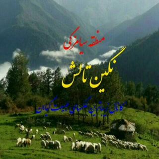 Telegram profile photo for 💖 💖 سیاهمزگی گیلان 💖💖