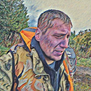 Telegram profile photo for В Поисках Контента