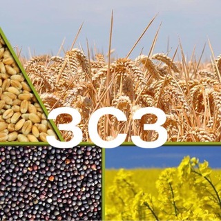 Telegram profile photo for Зерно світ