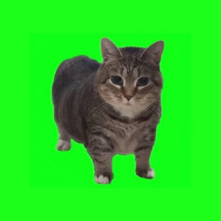 Telegram profile photo for Yond makes no sense