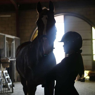 Telegram profile photo for مذكرات عشرينية🖤🐎