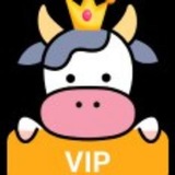 Telegram profile photo for vpn加密-高速节点-一键翻墙