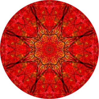 Telegram profile photo for Westerwald Spirit Klang