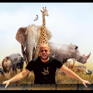 Telegram profile photo for Le roi de la jungle 57