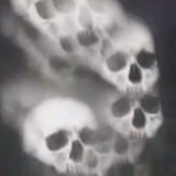 Telegram profile photo for nightmare