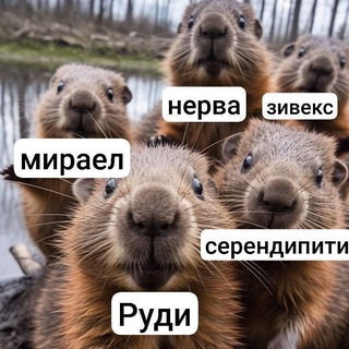 Telegram profile photo for 𝑀irᥲᥱᥣⁱⁿᶠᵒ