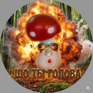 Telegram profile photo for СИДУЛИНАС | mainpley