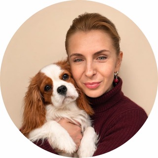 Telegram profile photo for Продвижение в мессенджерах | Ольга Золотова