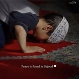 Telegram profile photo for حـَــــوْرَاءَ|🌸🕊