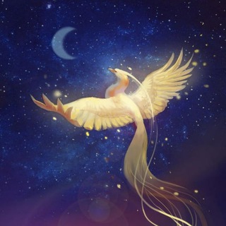 Telegram profile photo for Joeshi's Journey to Neverland