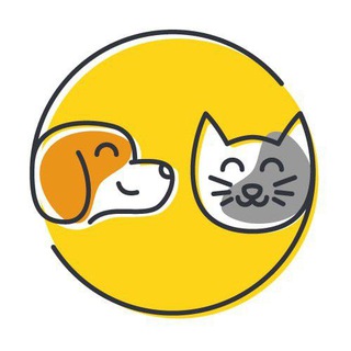 Telegram profile photo for БФ «Младший Брат» г. Бикин
