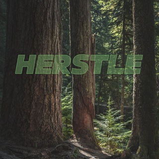 Telegram profile photo for HERSTLE | Заработок на отзывах