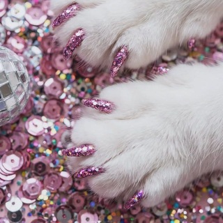 Telegram profile photo for sonnytsu_nails💅