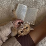 Telegram profile photo for pastel | реклама