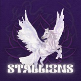 Telegram profile photo for πππ ππππ πππππππππ