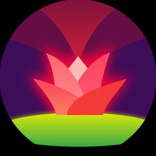 Telegram profile photo for dnscrypt-proxy-android | CHANNEL