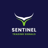 Telegram profile photo for Sentinel Day Trading Signals 🖥