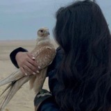 Telegram profile photo for _لـ ضَيْ .